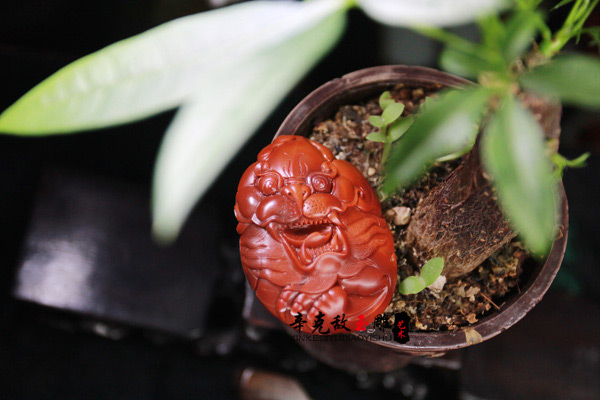 �Ϻ�--����