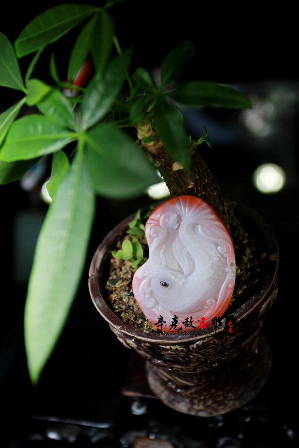 �Ϻ�--��������